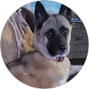 Becky Gipson profile picture
