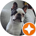 Nicole Dawson profile picture